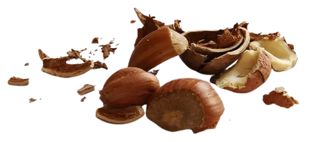 PG “Lešnik 1804” - Plantaža lešnika sorte Nocciola, Giffoni i Romana uzgajane po organskim principima