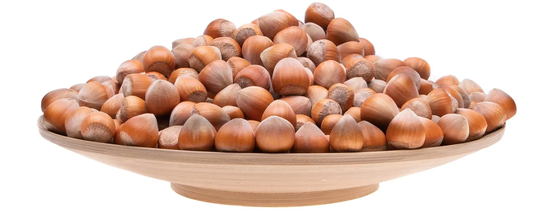 PG “Lešnik 1804” - Plantaža lešnika sorte Nocciola, Giffoni i Romana uzgajane po organskim principima